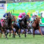 The Language of Horse Racing: Key Terms, Phrases to Know for the 2025 Breeders’ Cup